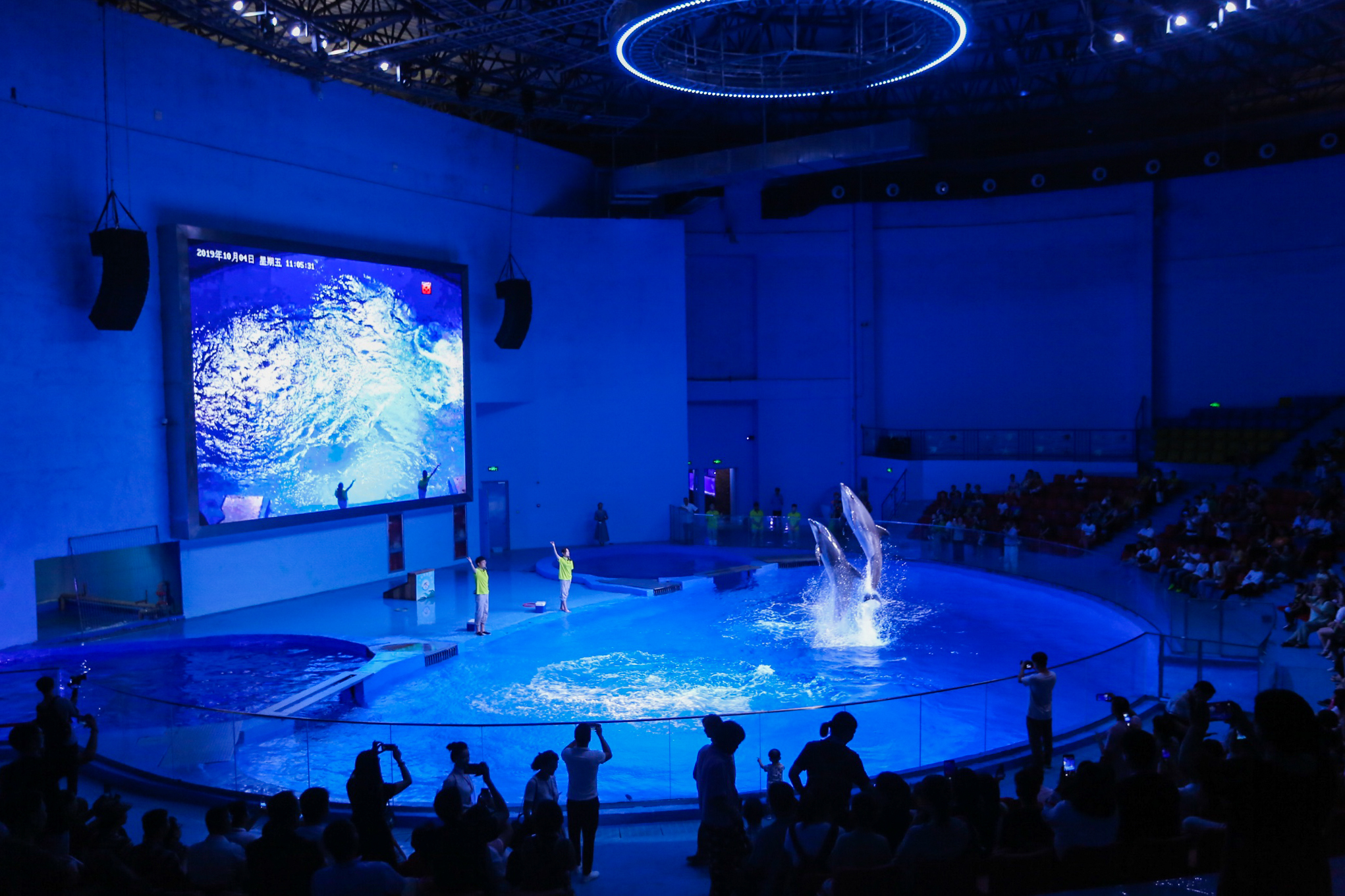 海洋馆海狮表演图片素材-编号14001371-图行天下