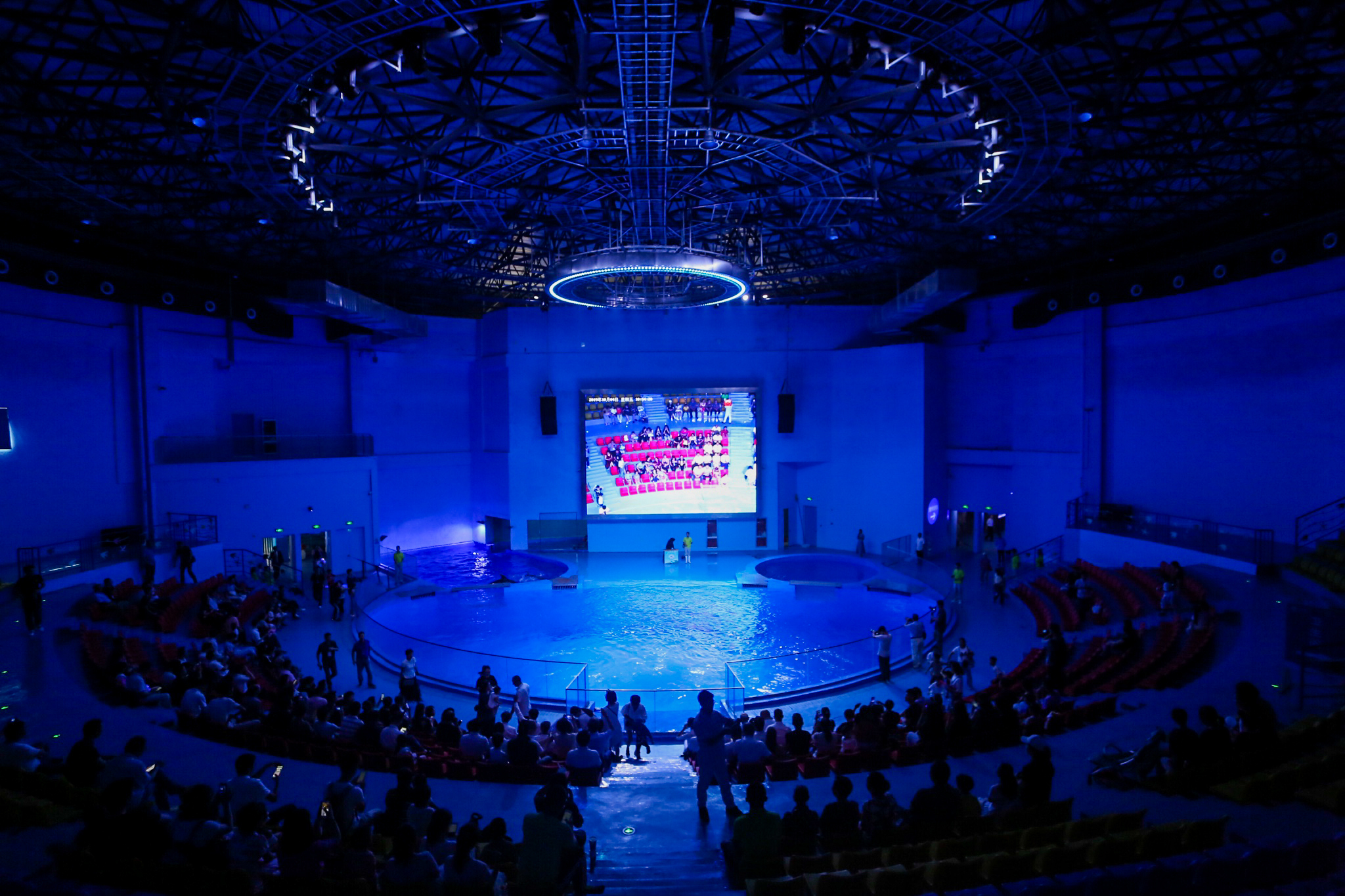2023温州海洋馆游玩攻略,种类不多 有美人鱼表演 海狮表演 【去哪儿攻略】
